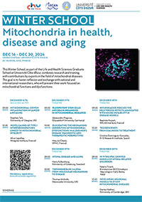 winter shcool mm 2024 programme